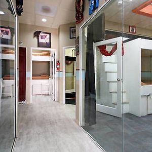 Hostel Habibi
